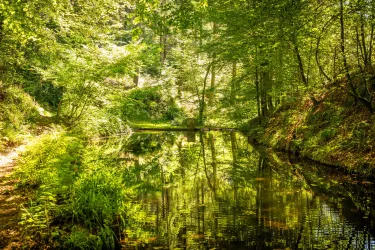 Eiderbachtal (© Verein SÜW Annweiler e.V., Fotograf: Dominik Ketz)