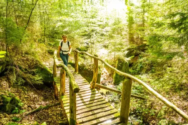 Brücke im Eiderbachtal (© Verein SÜW Annweiler e.V., Fotograf: Dominik Ketz)