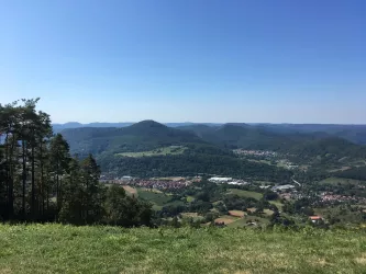 Aussicht Hohenberg (© Verein SÜW Annweiler e.V.)