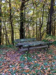 Picknickplatz_2 (© Verein SÜW Annweiler e.V.)