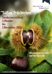 Ein Plakat für die Sonderausstellung "Süßes Früchtchen" im Museum Trifels. Es zeigt Kastanien und Informationen zur Ausstellung vom 1. Oktober bis 1. November 2026.