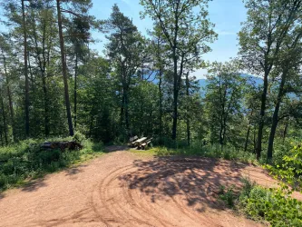 Picknickplatz von oben (© Verein SÜW Annweiler e.V.)