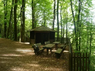 Holderquelle (© Archiv Verein SÜW Annweiler e.V.)