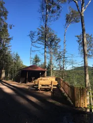 Eine Waldhütte steht an einem schmalen Weg, umgeben von hohen Bäumen. Der Himmel ist klar und blau, was die ruhige Atmosphäre unterstreicht.
