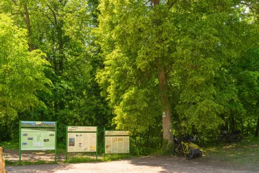 Station Die Kreuzzüge (© Verein SÜW Annweiler e.V., Dominik Ketz)