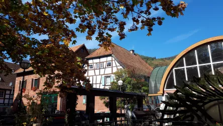 Stadtmühle (© Verein SÜW Annweiler e.V.)