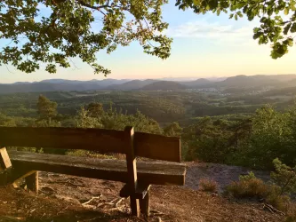 Ausblick Rehberg (© Archiv Verein SÜW Annweiler e.V.)