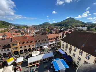 Keschdefeschd in Annweiler am Trifels (© Verein SÜW Annweiler e.V.)