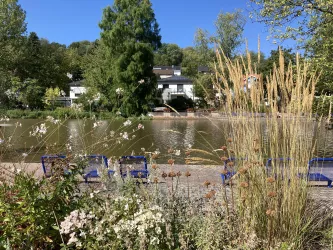 Schwanenweiher Markwardanlage (© Verein SÜW Annweiler e.V.)