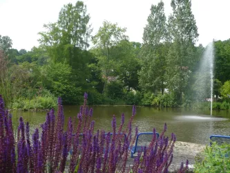 Schwanenweiher (© Verein SÜW Annweiler e.V.)