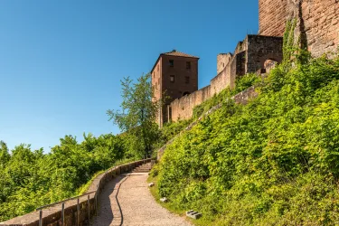 Ein malerischer Weg führt durch grünes Gelände zu einer alten Burg. Die Sonne scheint an einem klaren blauen Himmel.