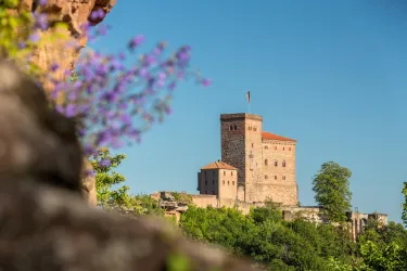 Eine beeindruckende Burg umgeben von viel Grün und bunten Blumen. Der klare blaue Himmel bildet einen schönen Hintergrund für die historische Architektur.