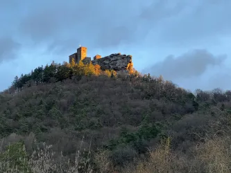 Blick auf Trifels