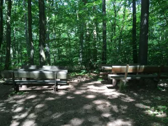 Picknickplatz (© Verein SÜW Annweiler am Trifels e.V.)