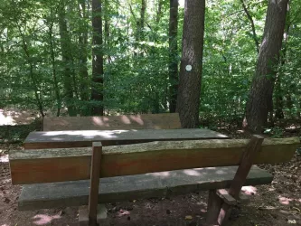 Picknickplatz Tisch Bank 3 (© Verein SÜW Annweiler e.V.)