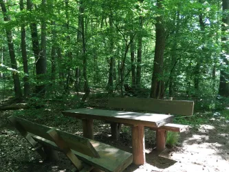 Picknickplatz Tisch Bank 2 (© Verein SÜW Annweiler e.V.)