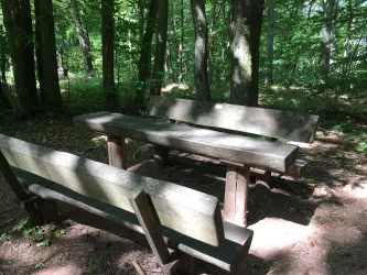 Picknickplatz Tisch Bank 1 (© Verein SÜW Annweiler e.V.)