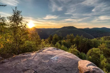 Kirschfelsen Ausblick (© Verein SÜW Annweiler e.V.)