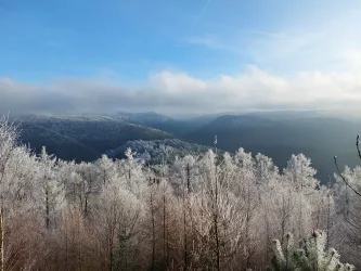 Kirschfelsen im Winter (© Verein SÜW Annweiler am Trifels)