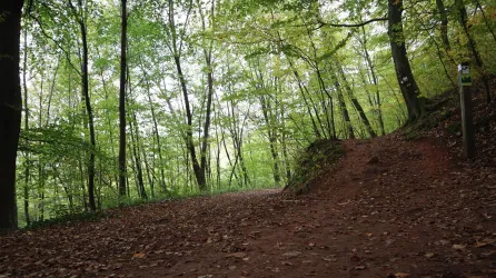 Heilkunde im Mittelalter (© Verein SÜW Annweiler e.V.)