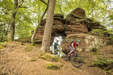 Mountainbiketour 8 (© Archiv Mountainbikepark Pfälzerwald, world of mtb)