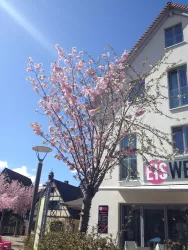 Eiswerk (© Verein SÜW Annweiler e.V.)