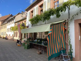 Ein charmantes Geschäft mit einer grünen Markise und einem gestreiften Vorhang. Die Fassade ist von Pflanzen umgeben und die Straße wirkt einladend.