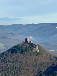 Eine mittelalterliche Burg thront auf einem bewaldeten Hügel. Im Hintergrund sind sanfte Berge und ein klarer Himmel zu sehen.