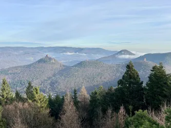 Eine malerische Aussicht auf Hügel und Berge mit bewaldeten Hängen. Der Himmel ist klar, und Nebel liegt sanft über dem Tal.