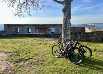 Zwei Fahrräder lehnen an einem Baum auf einer Wiese. Im Hintergrund ist eine alte Festung sichtbar.