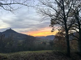 Ein malerischer Sonnenuntergang über sanften Hügeln und Bäumen. Im Hintergrund ist eine Burg sichtbar.