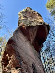 Ein hoher Sandsteinfels ragt majestätisch in den blauen Himmel. Umgeben von Bäumen zeigt er die Schönheit der Natur.