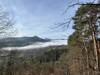 Eine malerische Aussicht auf ein Tal, umgeben von Bergen und Nebel. Die Bäume im Vordergrund ergänzen die friedliche Naturkulisse.