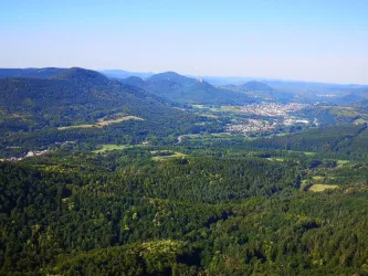 Eine weitläufige Landschaft mit grünen Wäldern und sanften Hügeln. Im Hintergrund sind kleine Berge und eine Stadt zu sehen.