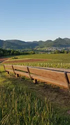 Burgenblick