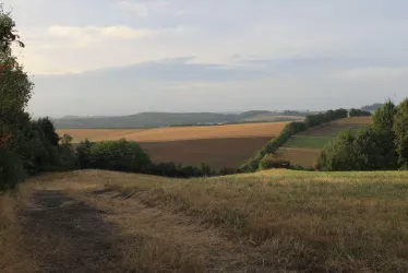 Ausblick von der Ehweiler Höhe (© Julia Bingeser, FVZV Pfälzer Bergland)