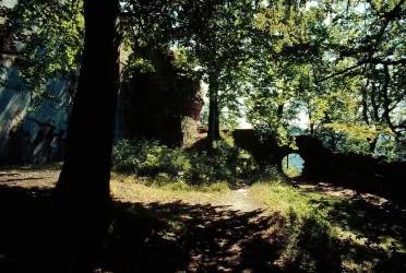 Guttenberg (© Karl Heinz Schmeckenbecher)