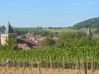 Ein malerisches Dorf mit Weinbergen und einer hügeligen Landschaft im Hintergrund. Zwei Kirchtürme ragen über die Dächer der Häuser.