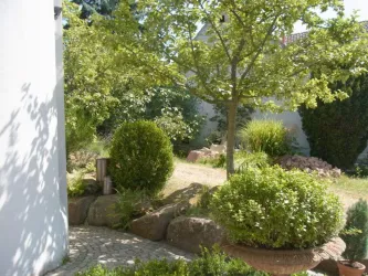 Ein ruhiger Garten mit grünen Büschen und einem kleinen Baum. Auf dem Boden sind große Steine und ein Blumenbeet zu sehen.