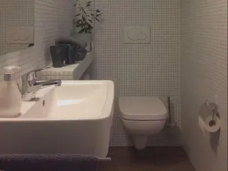 Ein modernes Badezimmer mit einem weißen Waschbecken und einer Toilette. Die Wände sind mit kleinen, hellen Fliesen gefliest und es gibt dekorative Elemente wie eine Pflanze.