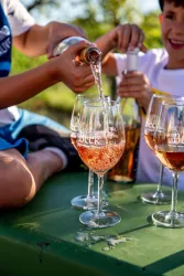 Wein (© Weingut Beck)