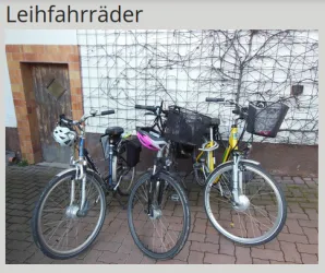 Fahrrad ausleih (Pedelec)