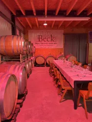 Weinkeller Weingut Beck PINK (© Weingut Beck)