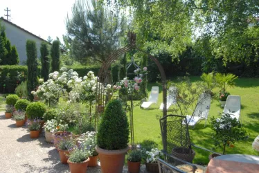 Garten, Bild 3 (© Inge Oesterle)