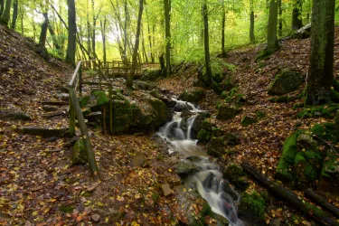 Schindelbach Stromberger Klamm (© György Peredi)