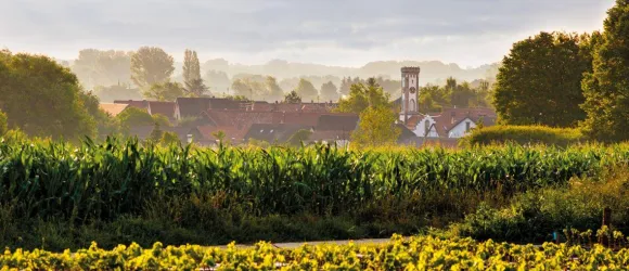 Eine ländliche Szene mit grünen Feldern und einem kleinen Dorf im Hintergrund. Der Himmel ist bewölkt, und die Landschaft wirkt ruhig und friedlich.
