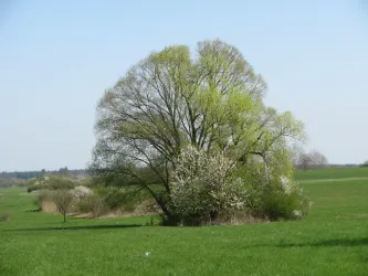 Dem Frühling auf der Spur