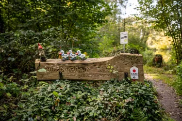Schaidter Wastwallweg im Bienwald