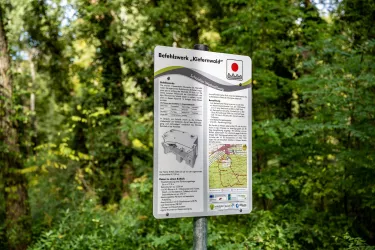 Schild im Bienwald