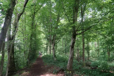 Rund um das Naturfreundehaus Kandel